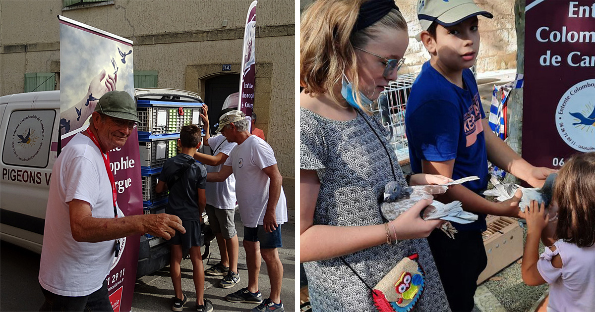 Bientôt 7 ans d’âge pour l’Entente Colombophile de Camargue