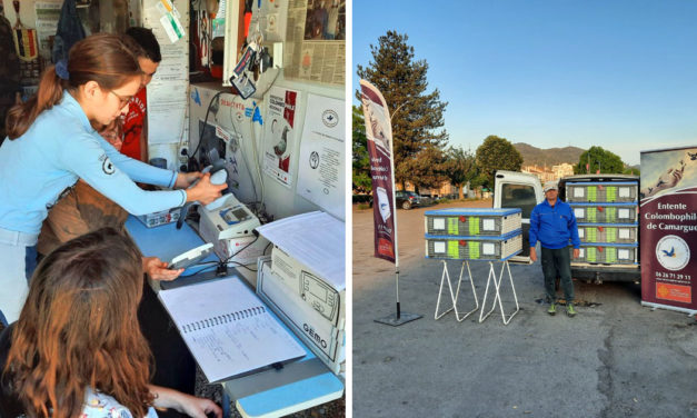 Les jeunes colombophiles de Camargue se distinguent