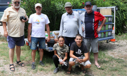 L’Entente Colombophile de Camargue dans le « Partage »