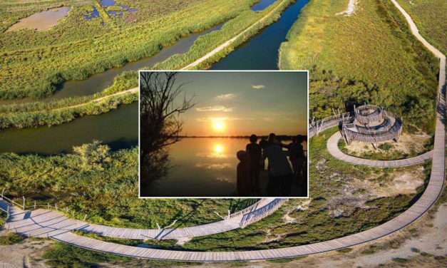 Découvrez cet été le patrimoine naturel et paysager du Grand Site de France de la Camargue gardoise