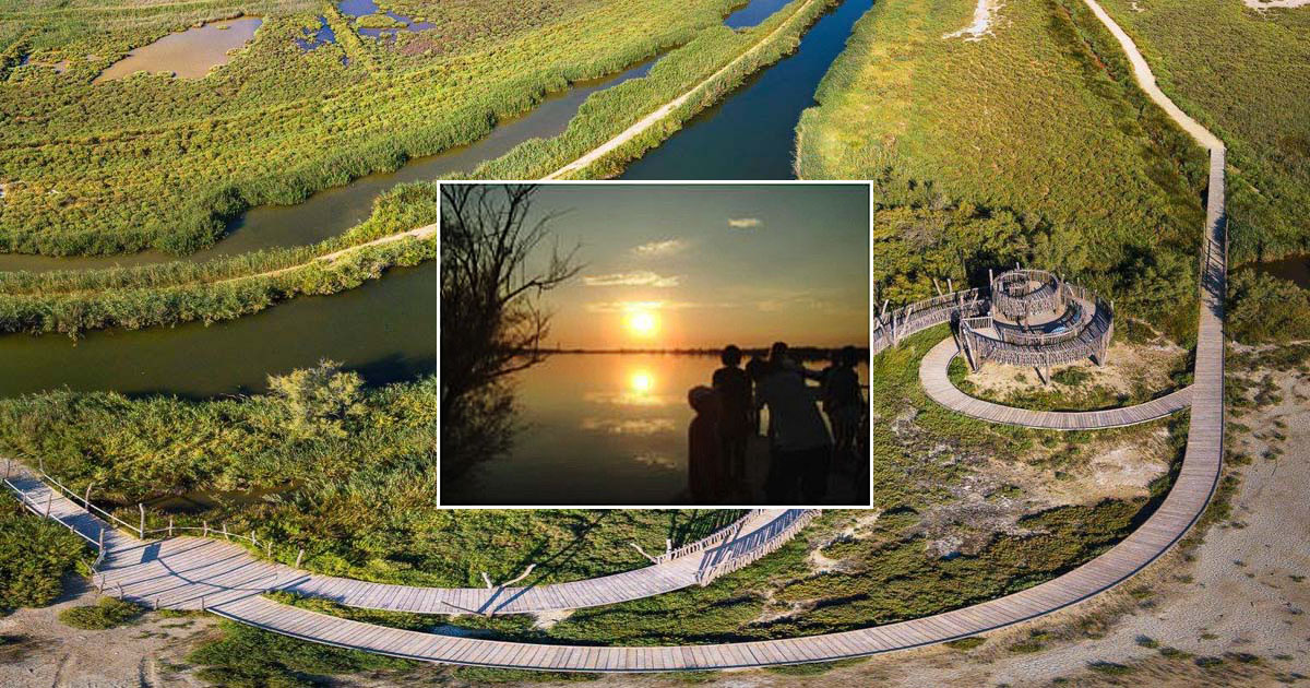 Découvrez cet été le patrimoine naturel et paysager du Grand Site de France de la Camargue gardoise