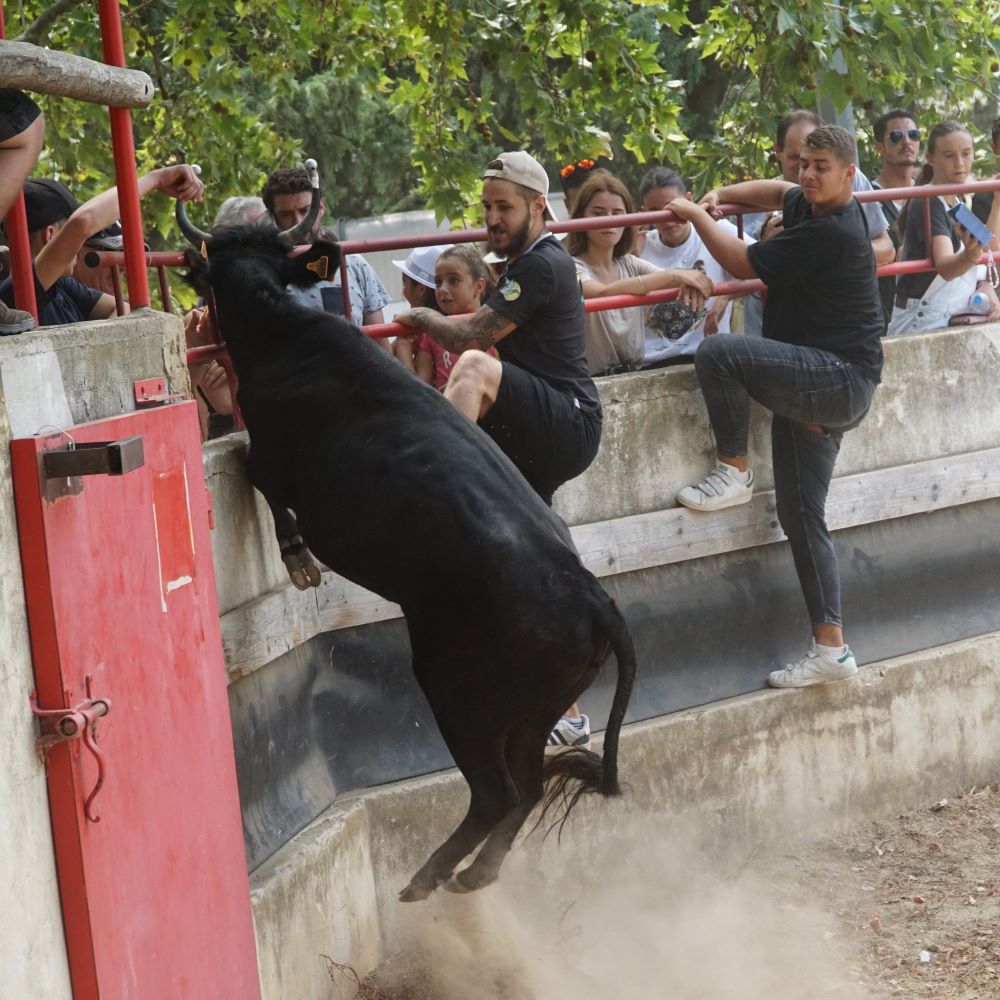 fête votive Franquevaux