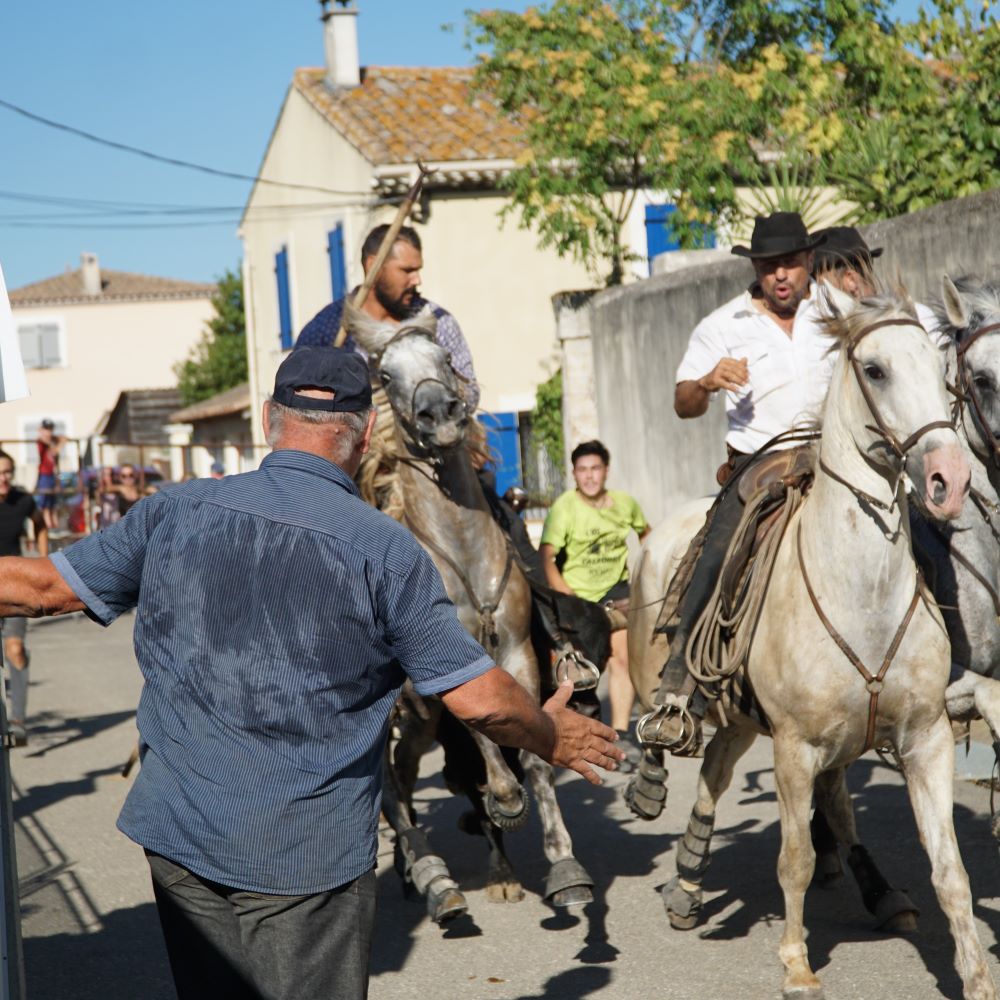 fête votive Franquevaux