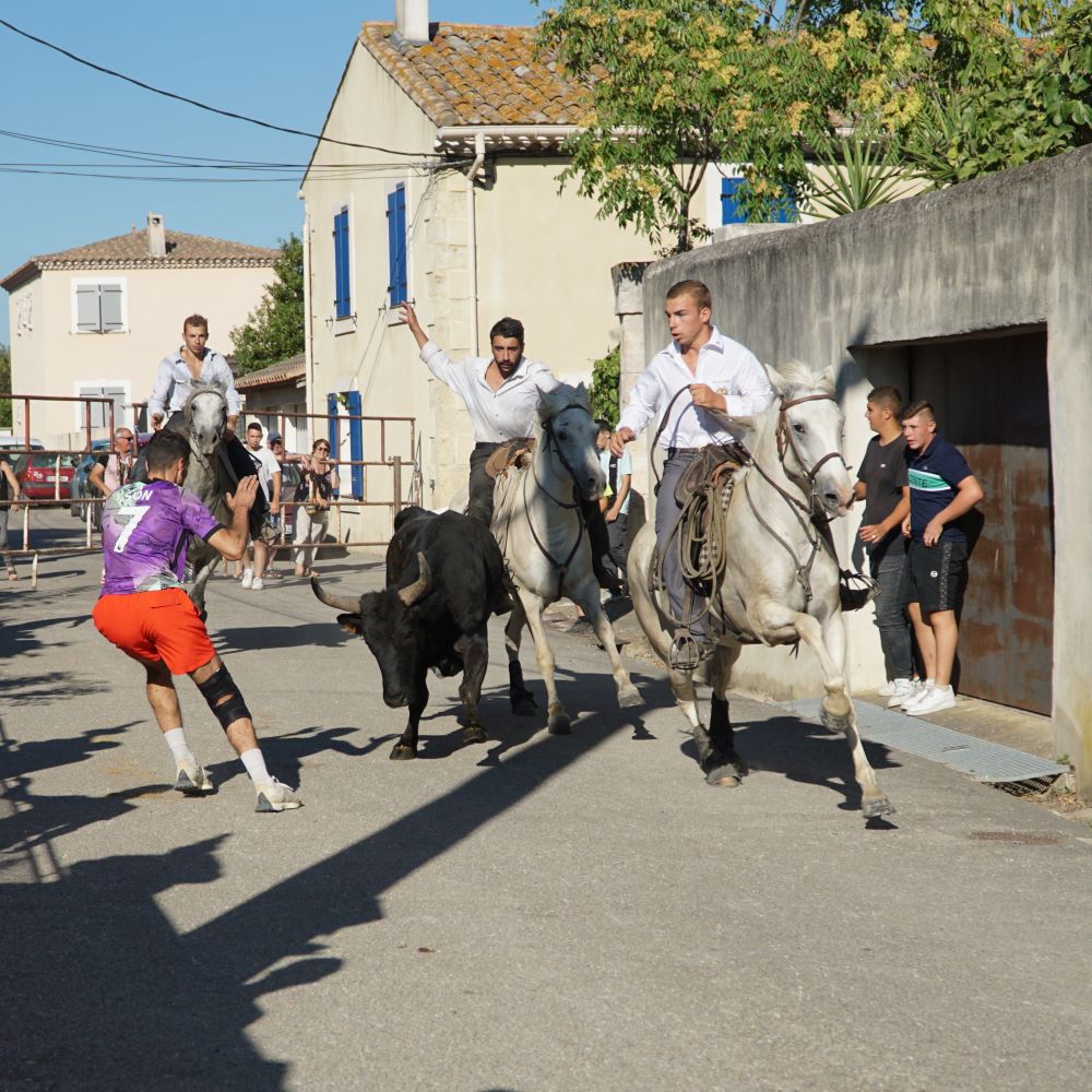 fête votive Franquevaux