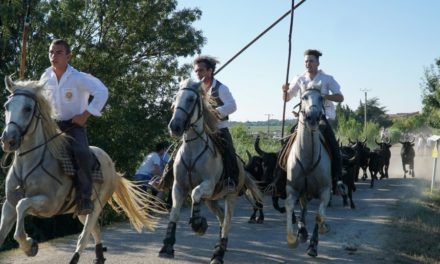 Franquevaux, une fête pas comme les autres.