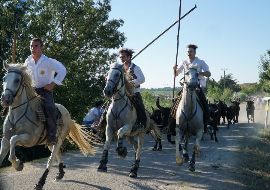 Franquevaux, une fête pas comme les autres.