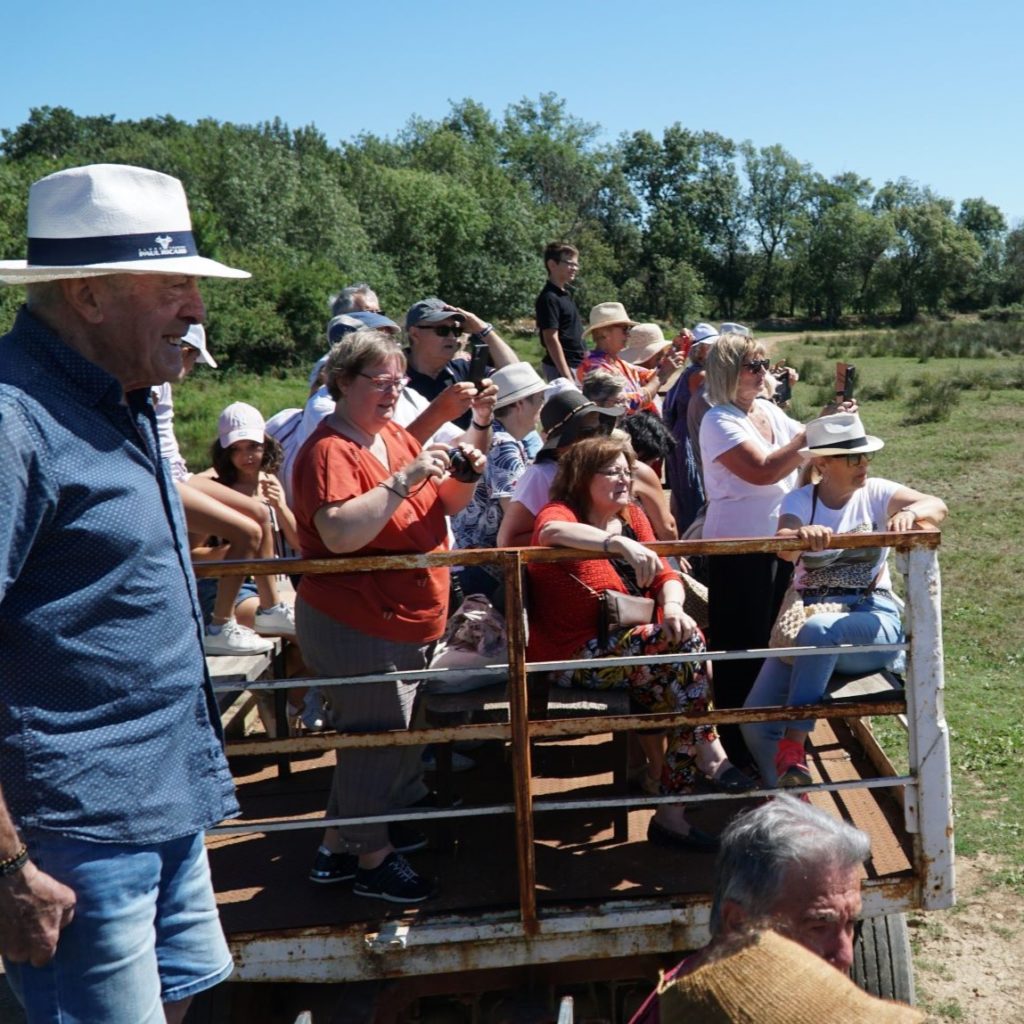 Journée en Pays manade Martini