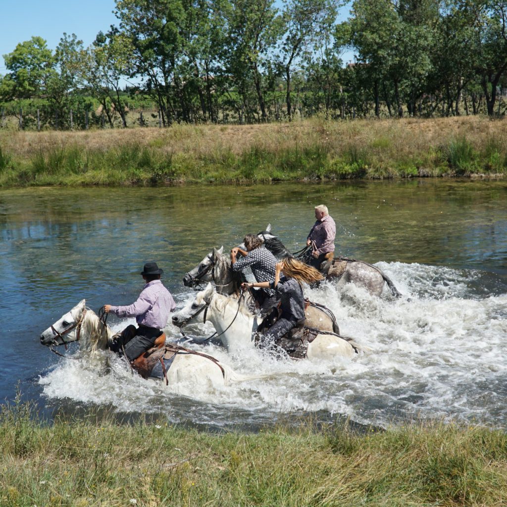 Journée en Pays manade Martini