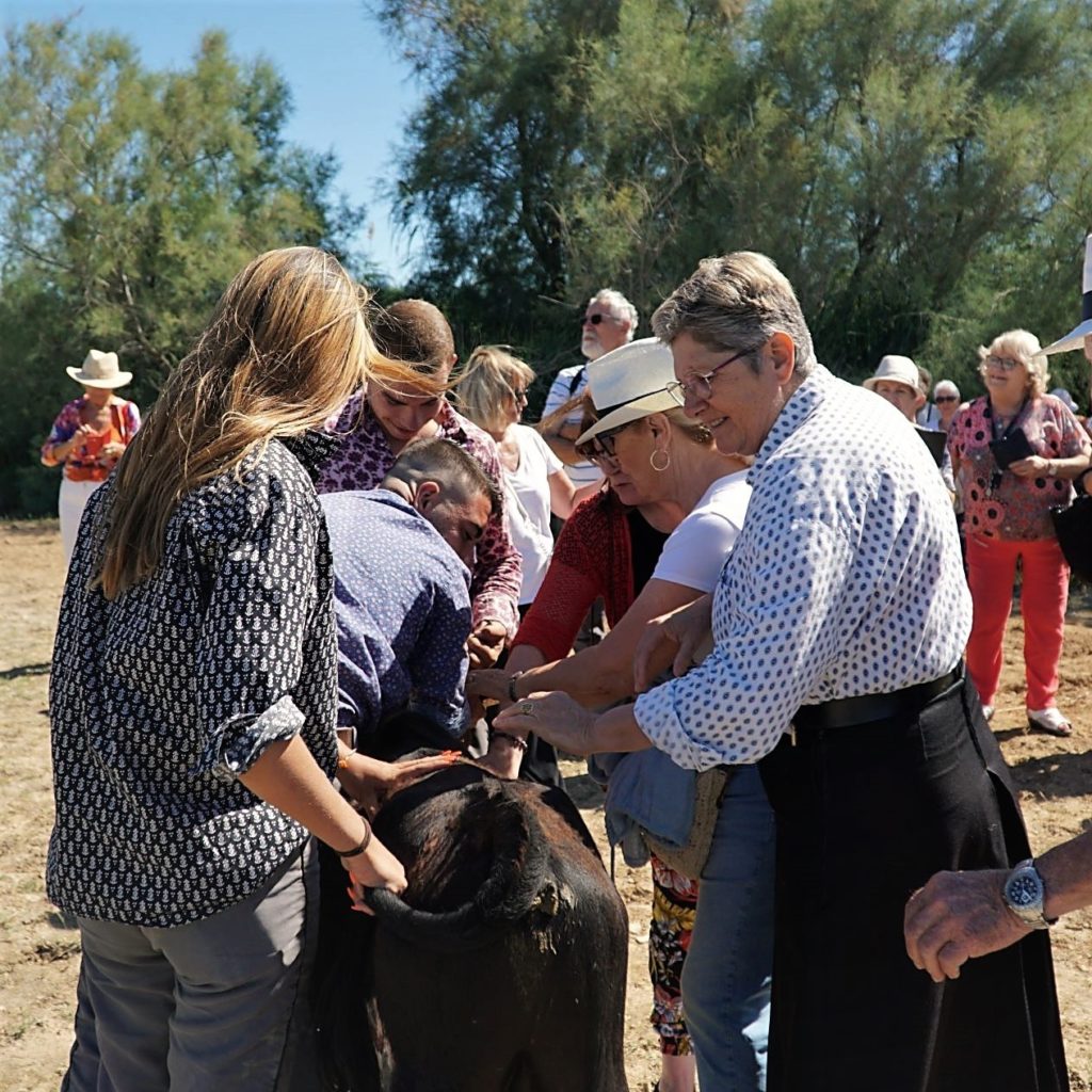 Journée en Pays manade Martini