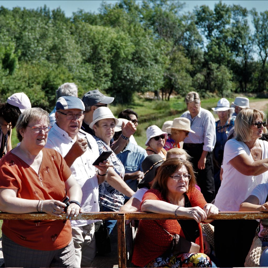Journée en Pays manade Martini
