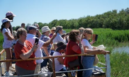 Sortie en  Pays à la Manade Martini pour la Bouée de l’amitié de Beauvoisin