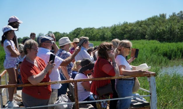 Sortie en  Pays à la Manade Martini pour la Bouée de l’amitié de Beauvoisin