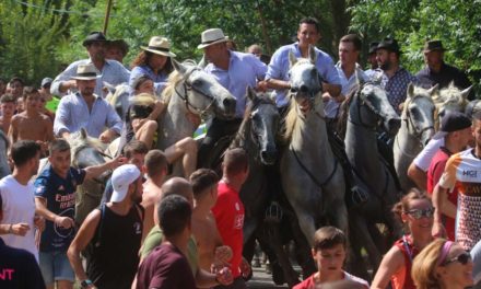 On refait l’abrivado !