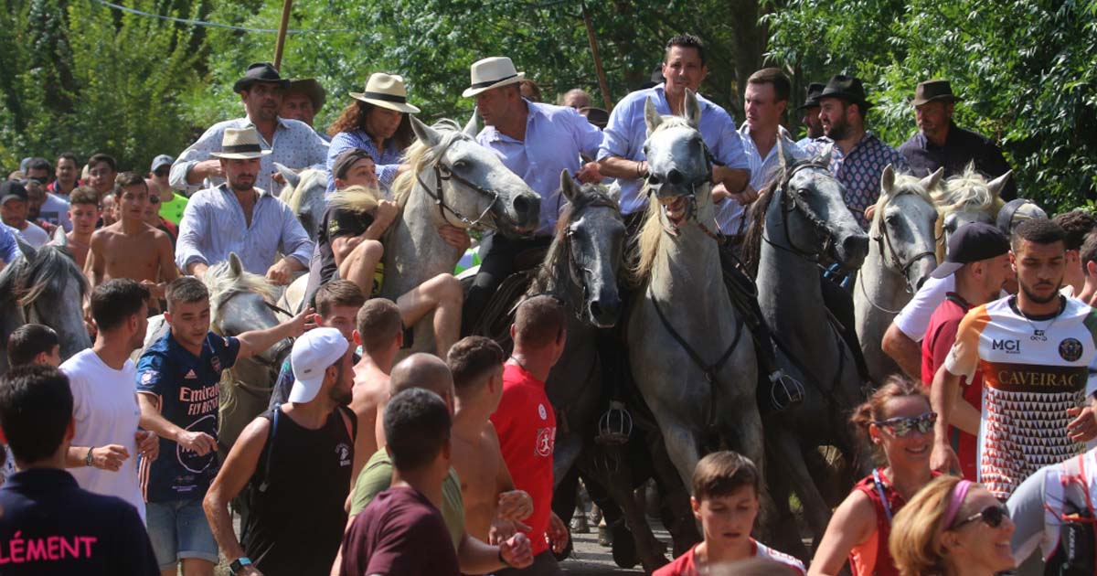 On refait l’abrivado !