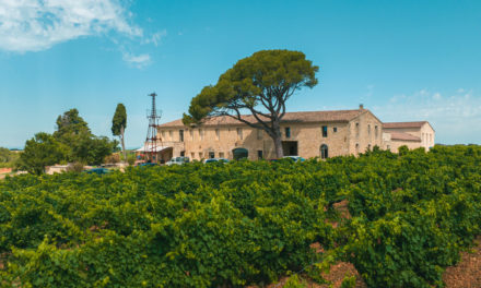 « Vendanges & Vous », un évènement du Clos des Américains