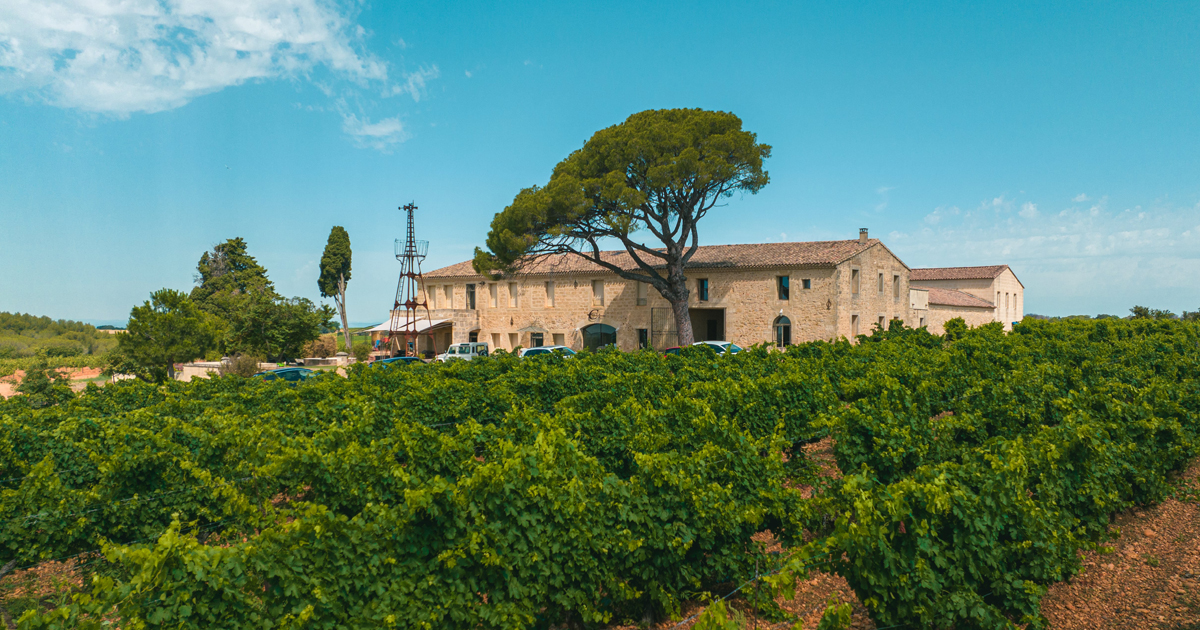 « Vendanges & Vous », un évènement du Clos des Américains
