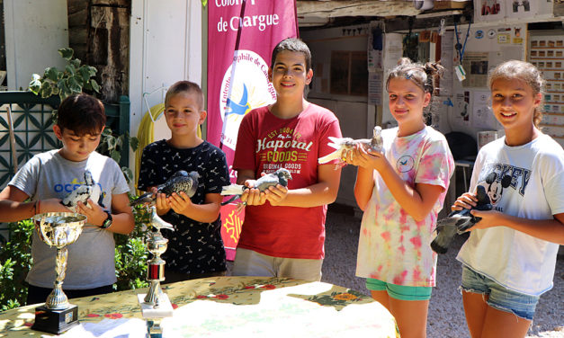 L’Entente Colombophile de Camargue fête ses 7 ans d’existence