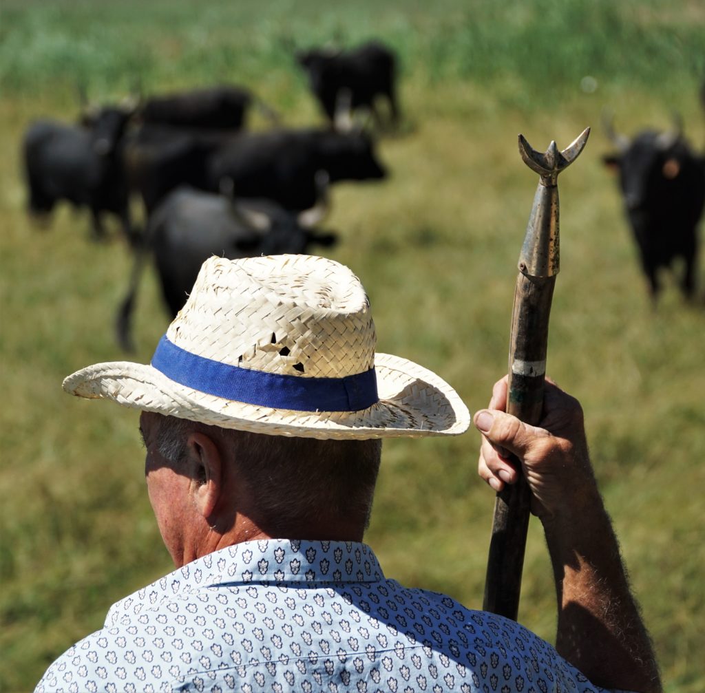 Bernard Fougairolles