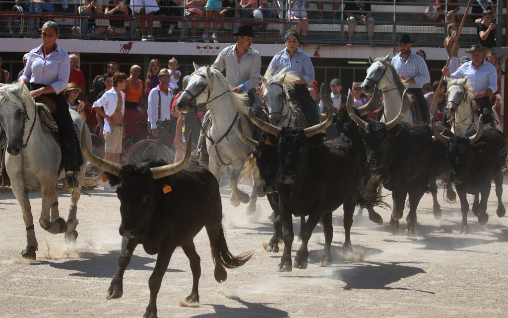 Rétrospective sur la fête votive de Vauvert 2022 (2ème partie)