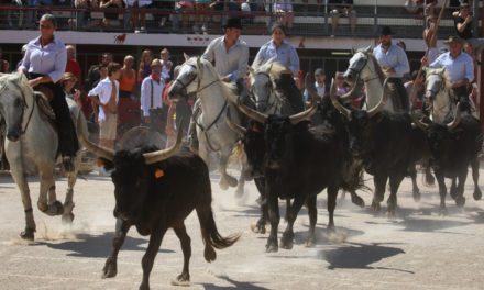 Rétrospective sur la fête votive de Vauvert 2022 (2ème partie)
