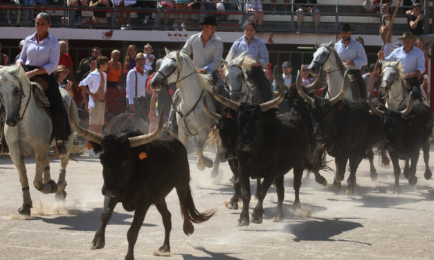 Rétrospective sur la fête votive de Vauvert 2022 (2ème partie)