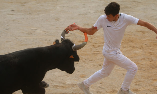 Rétrospective sur la fête votive de Vauvert 2022 (1ère partie)