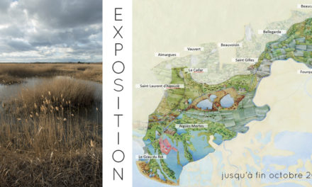 Exposition Soyons « SAGE » : préservons l’eau et les zones humides