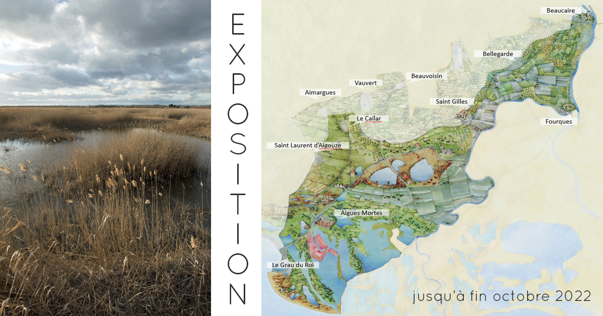 Exposition Soyons « SAGE » : préservons l’eau et les zones humides