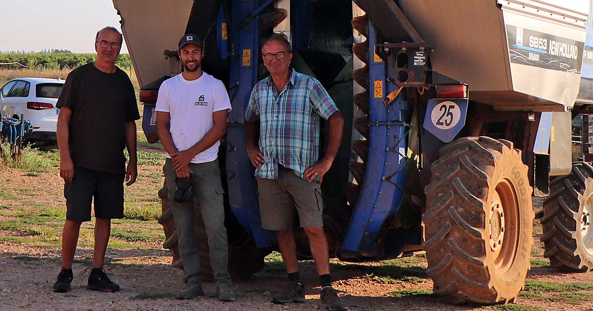Vendanges en famille au domaine de Virgile