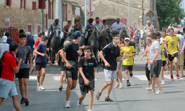 <strong>Revivre de Gallician&nbsp;2022 :<br>40 ans de la manade Martini&nbsp;!</strong>