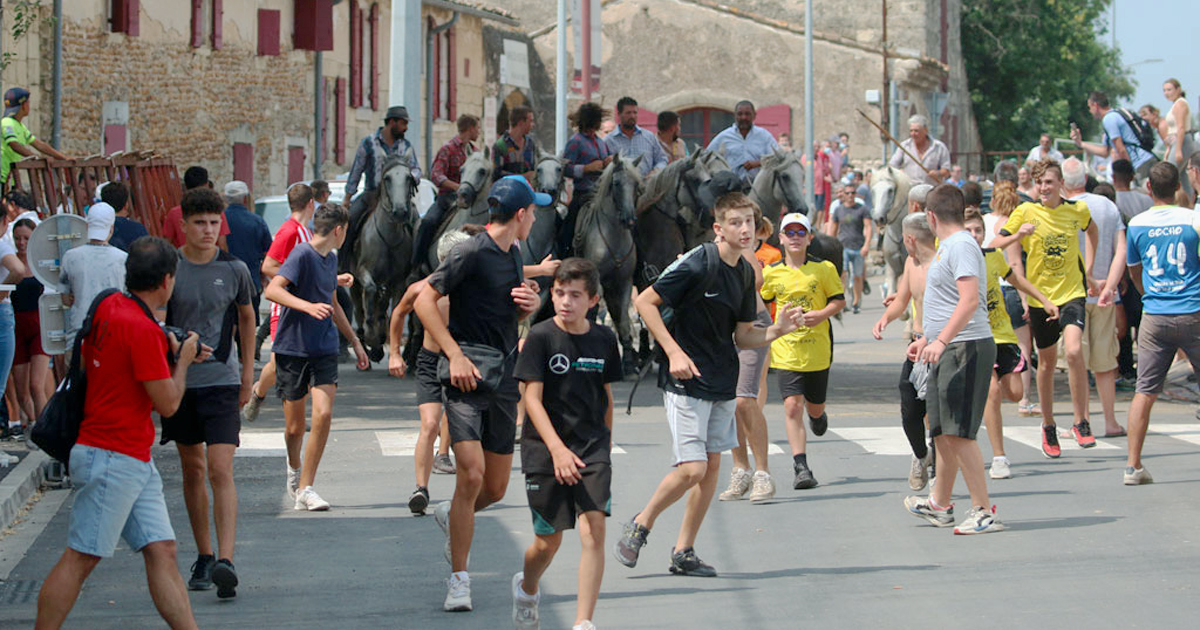 <strong>Revivre de Gallician 2022 :<br>40 ans de la manade Martini !</strong>