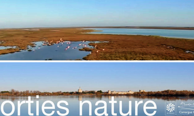 Découverte des paysages camarguais à l’occasion des Journées Européennes du Patrimoine