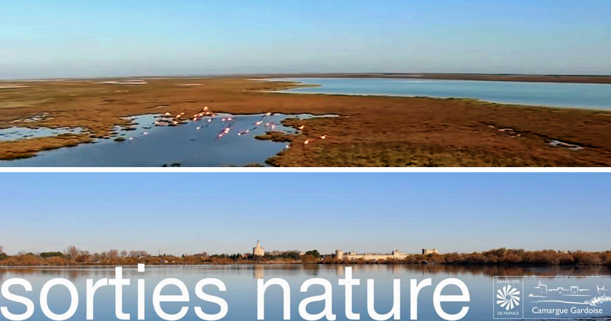 Découverte des paysages camarguais à l’occasion des Journées Européennes du Patrimoine