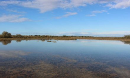 Sorties nature à La Marette pendant les vacances scolaires