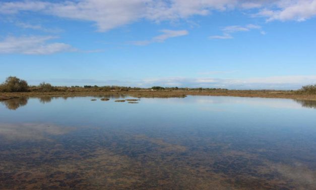 Sorties nature à La Marette pendant les vacances scolaires