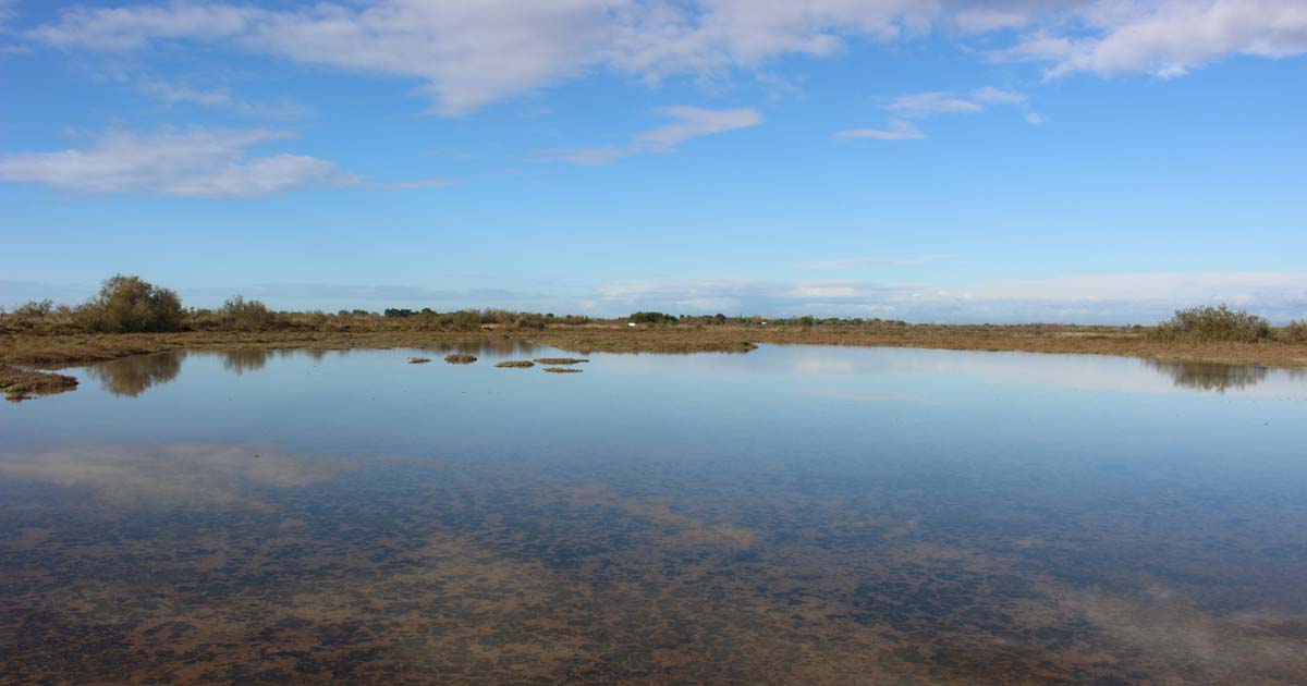 Sorties nature à La Marette pendant les vacances scolaires