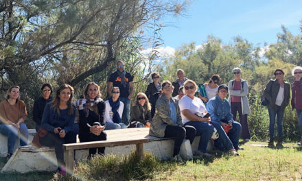 Des professeurs font l’école buissonnière en Camargue gardoise