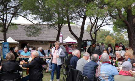 Culture, animations,  produits du terroir au menu des Goûts et Couleurs du Scamandre