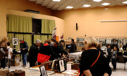 Le Petit Musée Antique du Pigeon Voyageur s’expose au Cailar