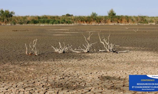 Conférence : Les impacts du changement climatique sur les ressources en eau