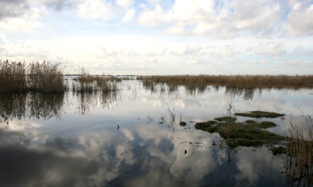 Histoire d’eau  et de sel dans la partie septentrionale  de la Camargue gardoise