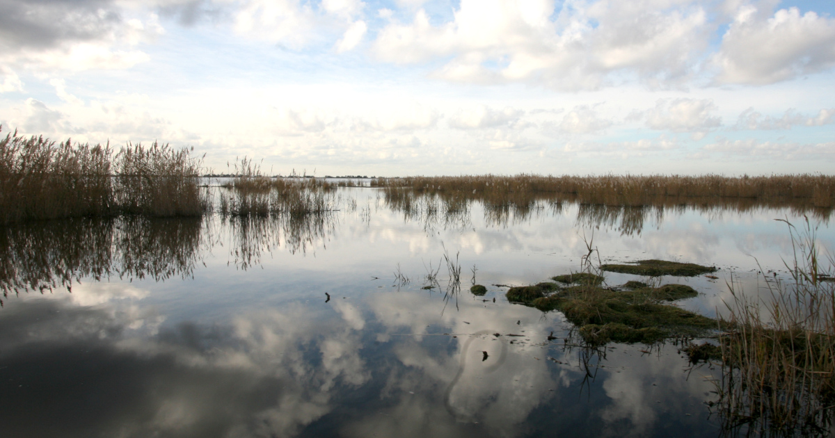 Histoire d’eau  et de sel dans la partie septentrionale  de la Camargue gardoise