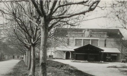 La Cave Coopérative de Beauvoisin