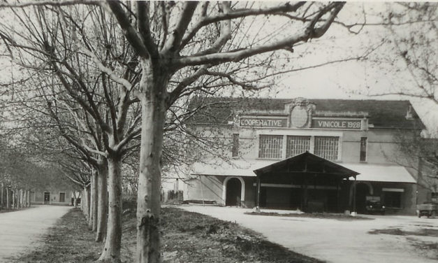 La Cave Coopérative de Beauvoisin