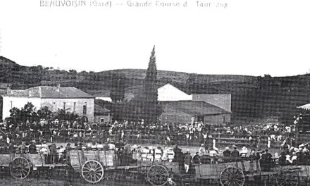 Une course de taureaux à Beauvoisin