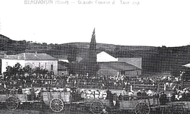 Une course de taureaux à Beauvoisin