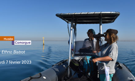 Soirée thématique « Entre deux eaux » au Musée de la Camargue ce mardi 7 février